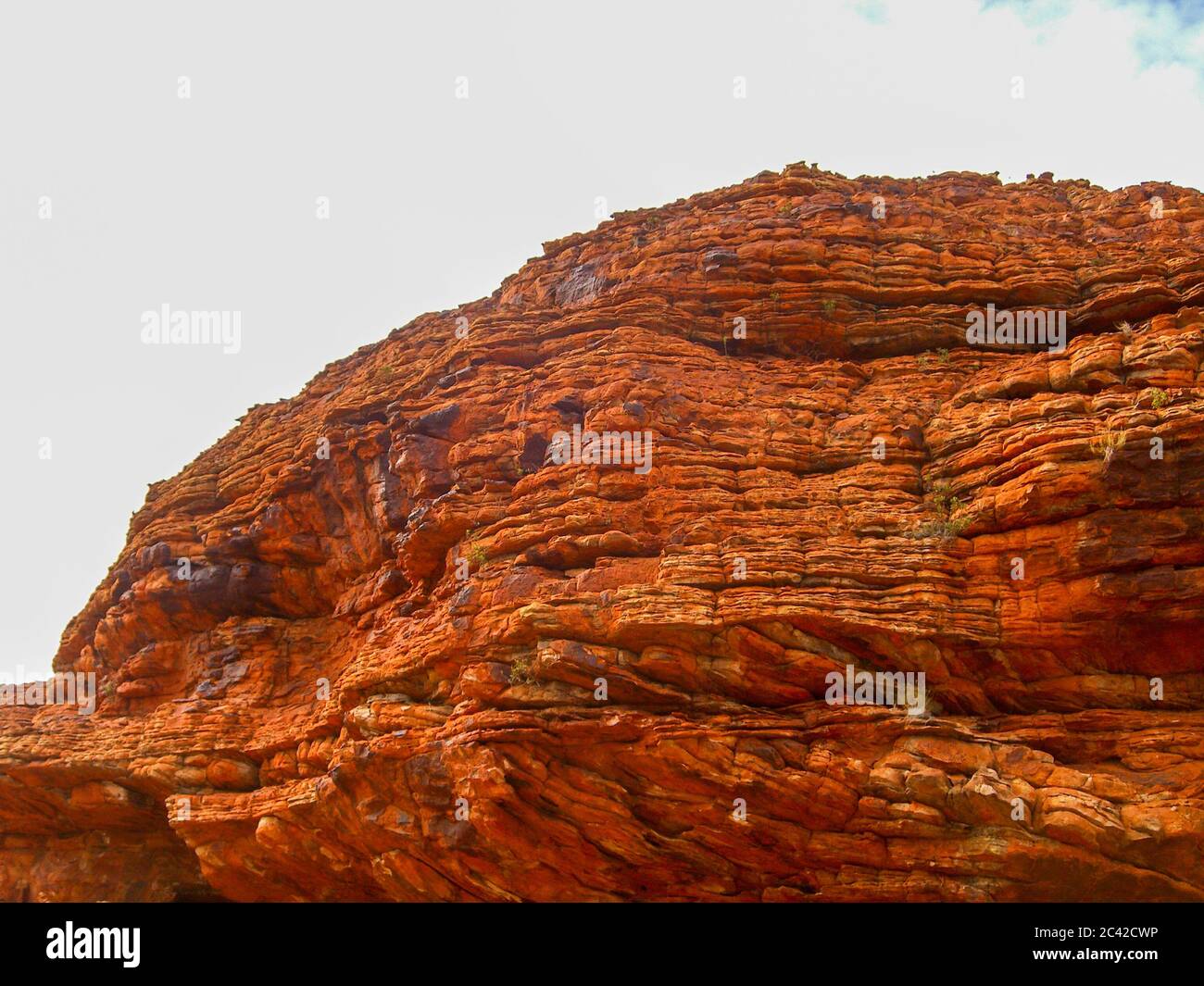 Alice Spring Ghost Alice springs ghost gum tree hi-res stock photography and images - Alamy