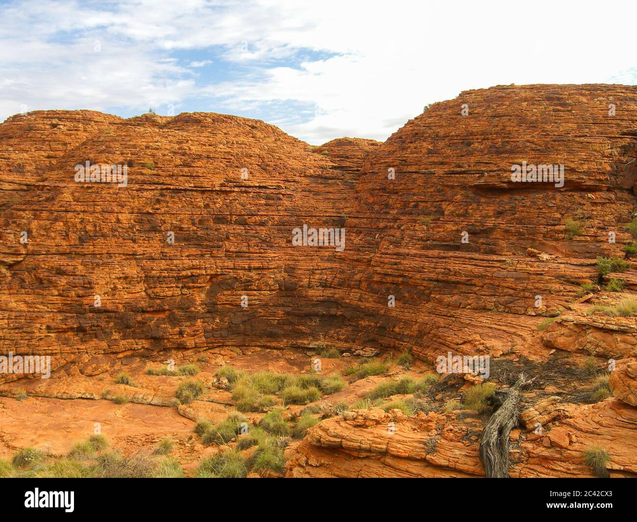 Alice Spring Ghost Alice springs ghost gum tree hi-res stock photography and images - Alamy