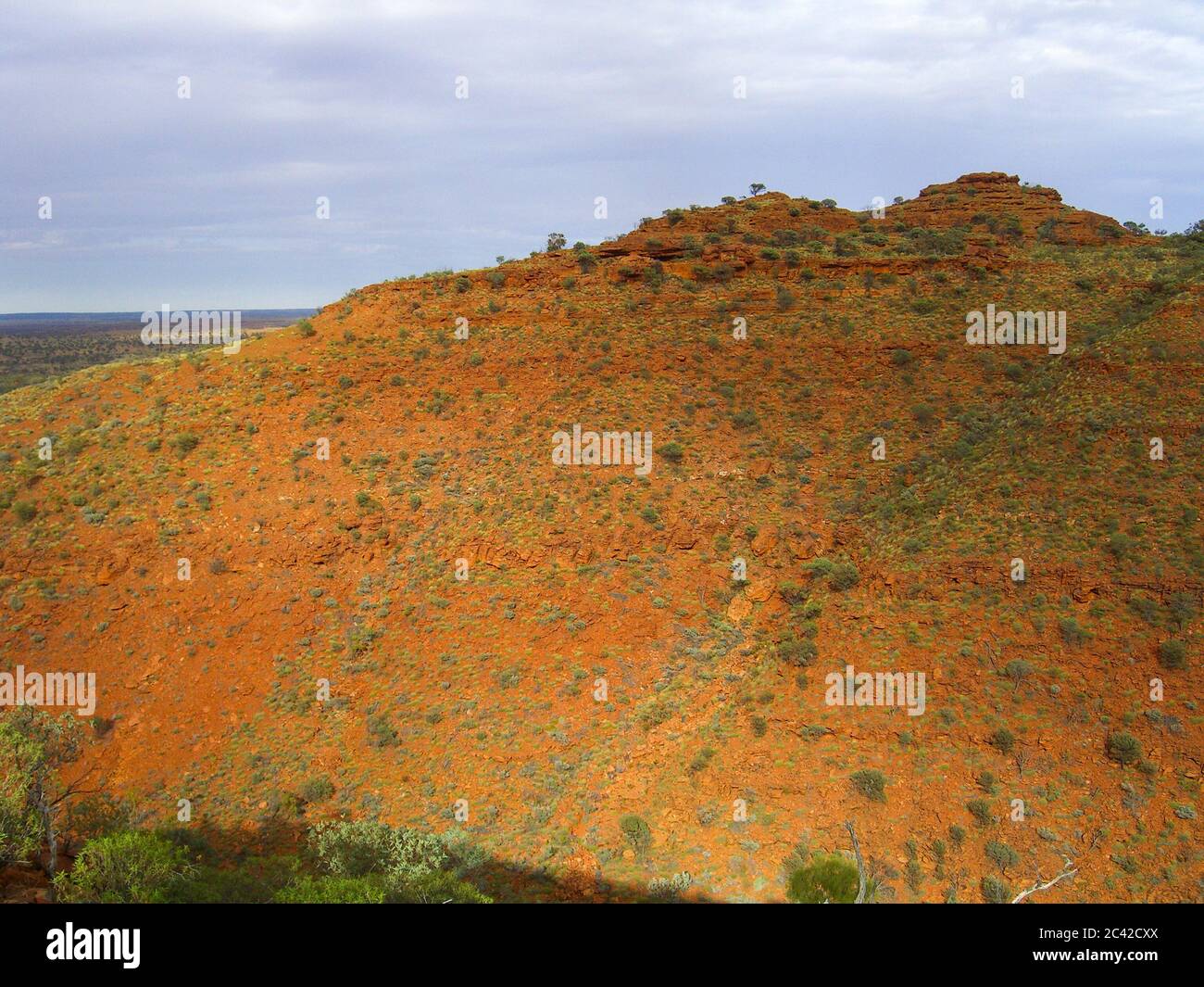 Alice Spring Ghost Alice springs ghost gum tree hi-res stock photography and images - Alamy