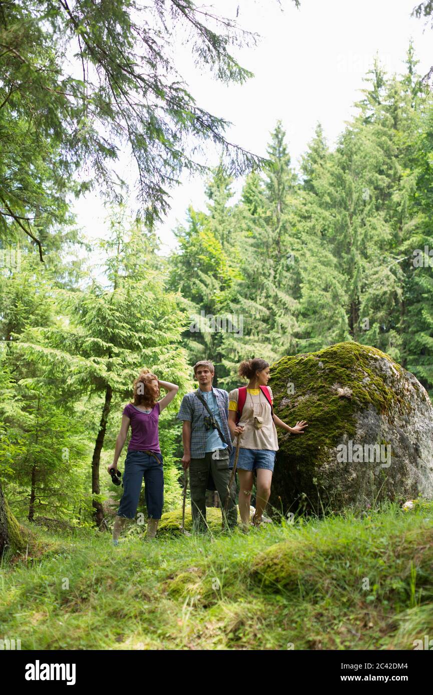 Three young women are walking through a forest Stock Photo - Alamy