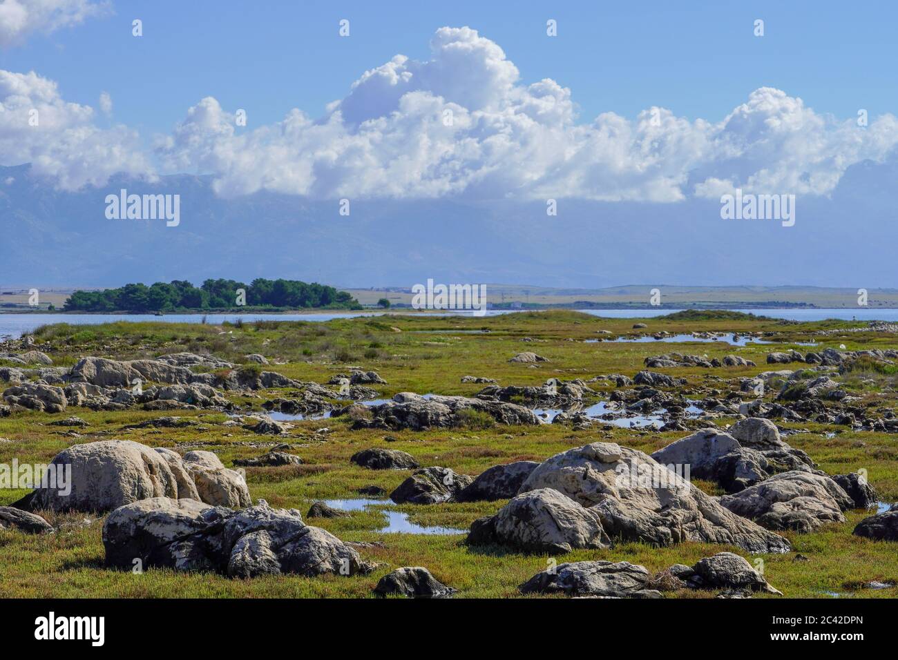 The sea shore with a large rock in the foreground, a skeleton background and a blue sky with clouds Stock Photo