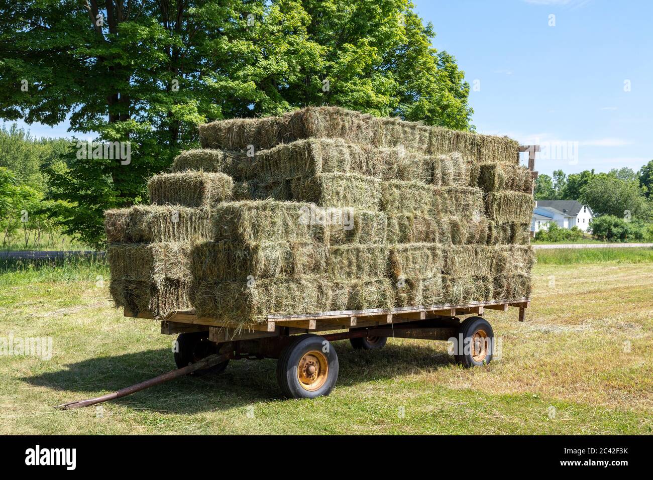 Hay making haymaking hires stock photography and images Alamy