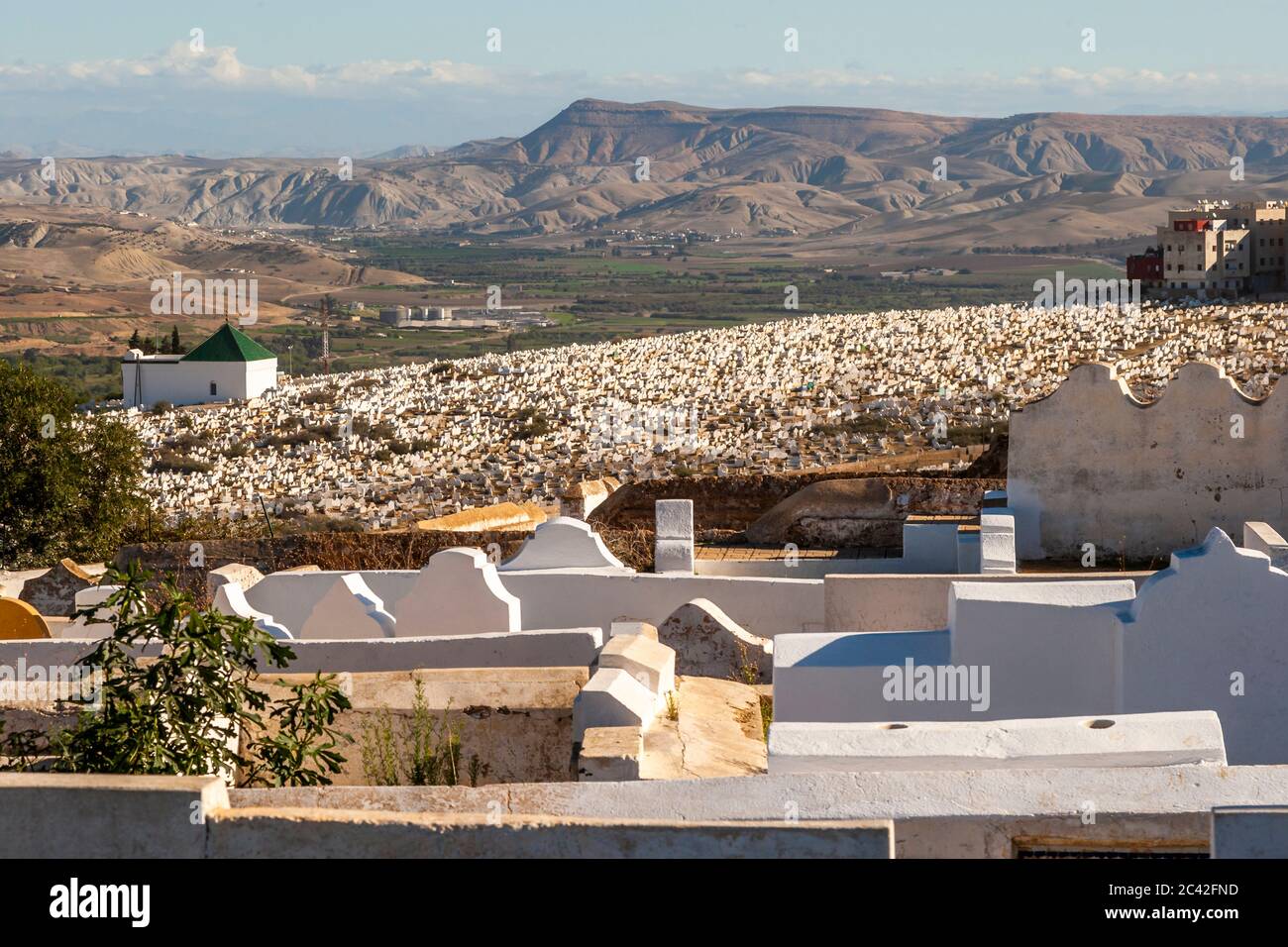 Impressions of Morocco: Huge graveyard of Fès Stock Photo