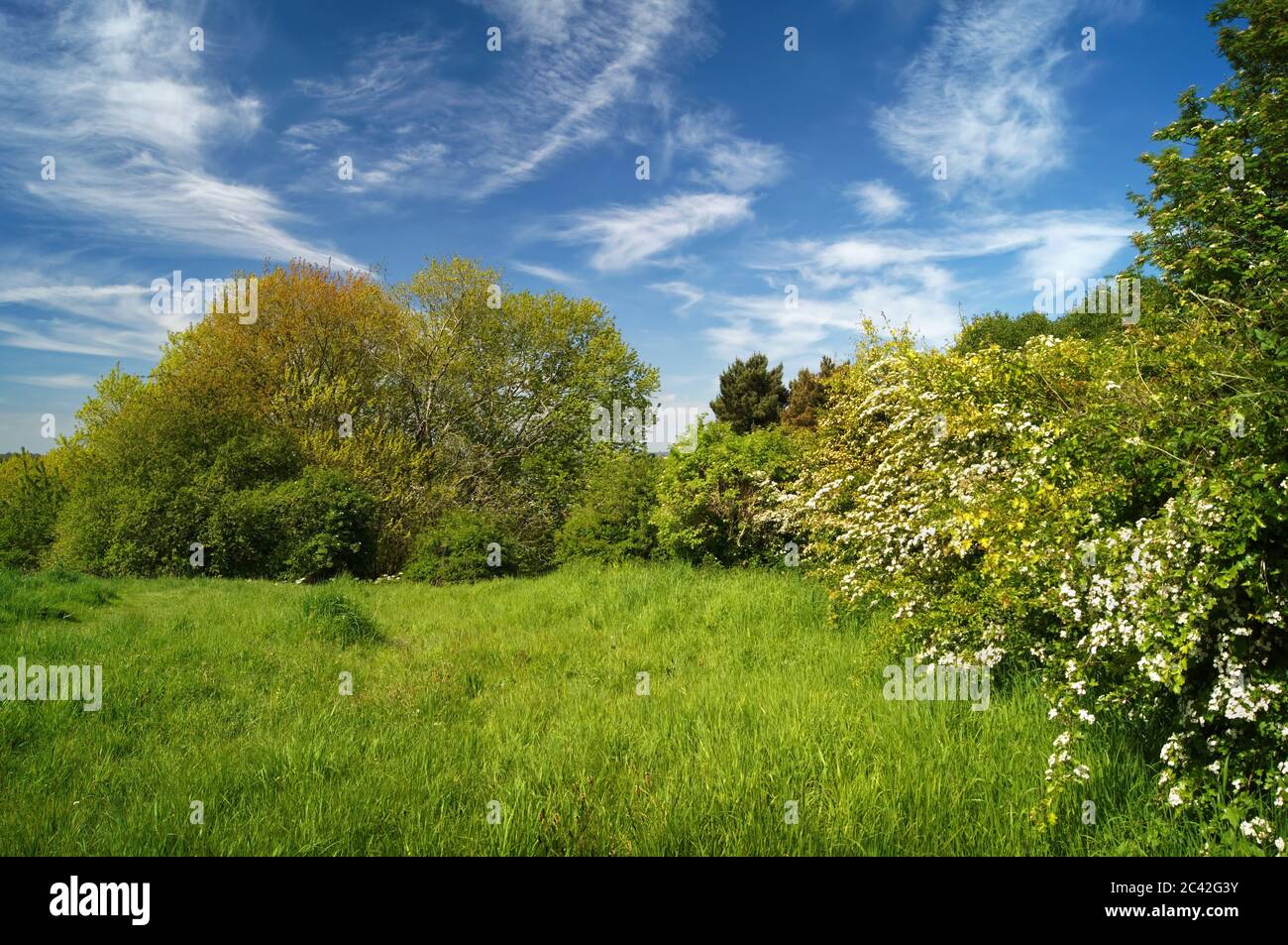 UK,Somerset,Yeovil,Penn Hill Stock Photo