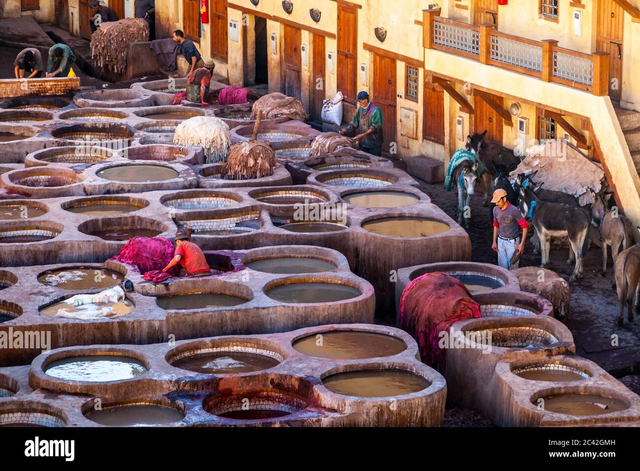 Tanners and Leather Producers in Fés, Chouara, Morocco Stock Photo