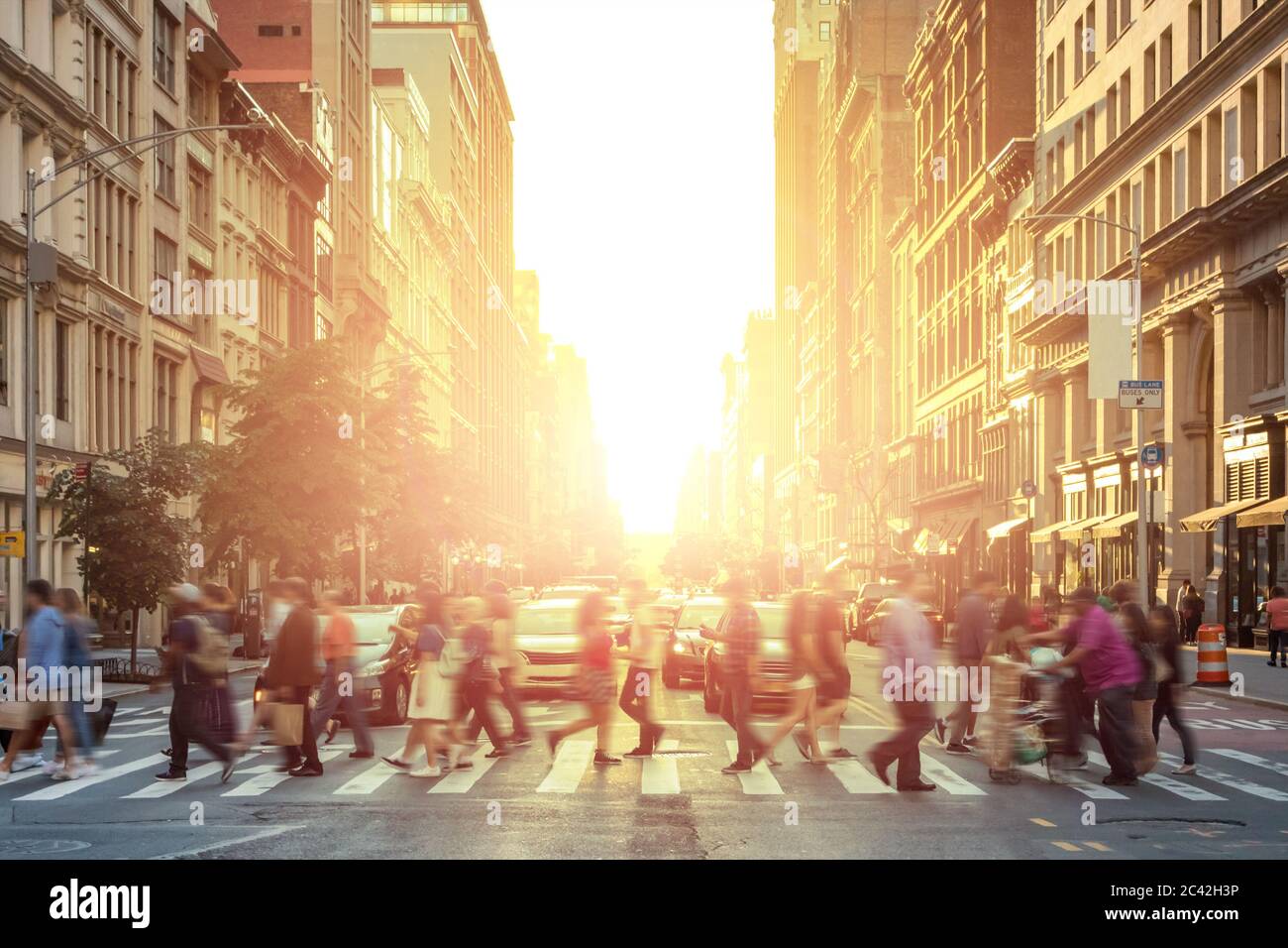 People walking across a busy intersection with the bright light of sunset in the background - Manhattan, New York City NYC Stock Photo