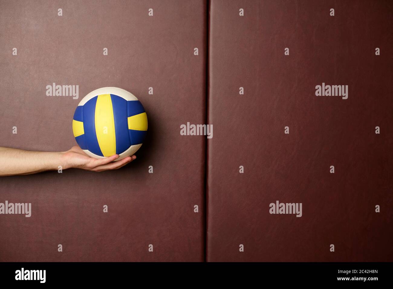 Volleyball player holds ball in hand Stock Photo Alamy