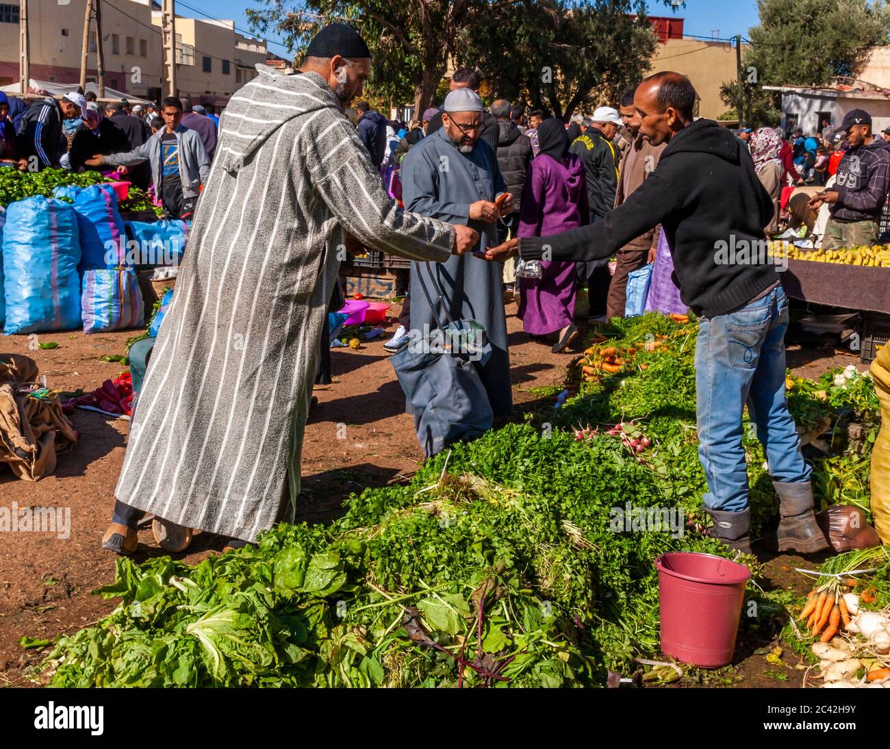Impressions of Morocco: Parsley in the vegetable market Stock Photo