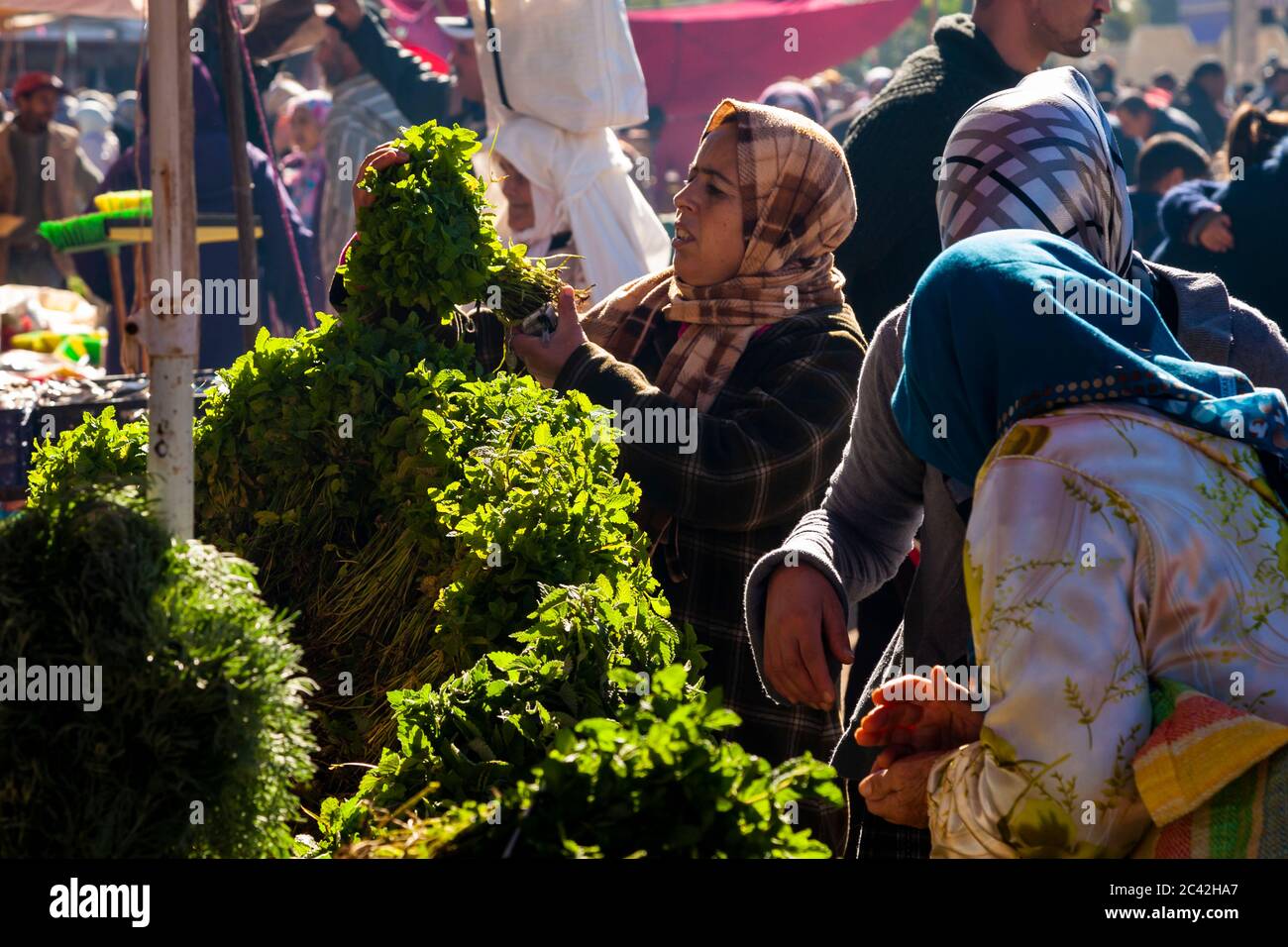 Impressions of Morocco: Parsley in the vegetable market Stock Photo