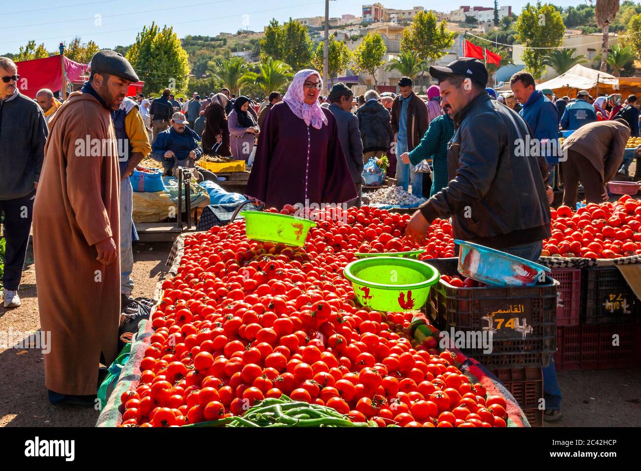 Impressions of Morocco: Tomatoes in the vegetable market Stock Photo