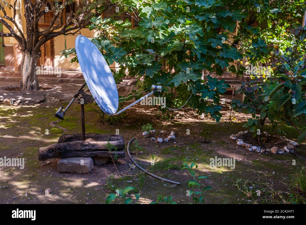 Impressions of Morocco: Satellite dish between fig trees Stock Photo