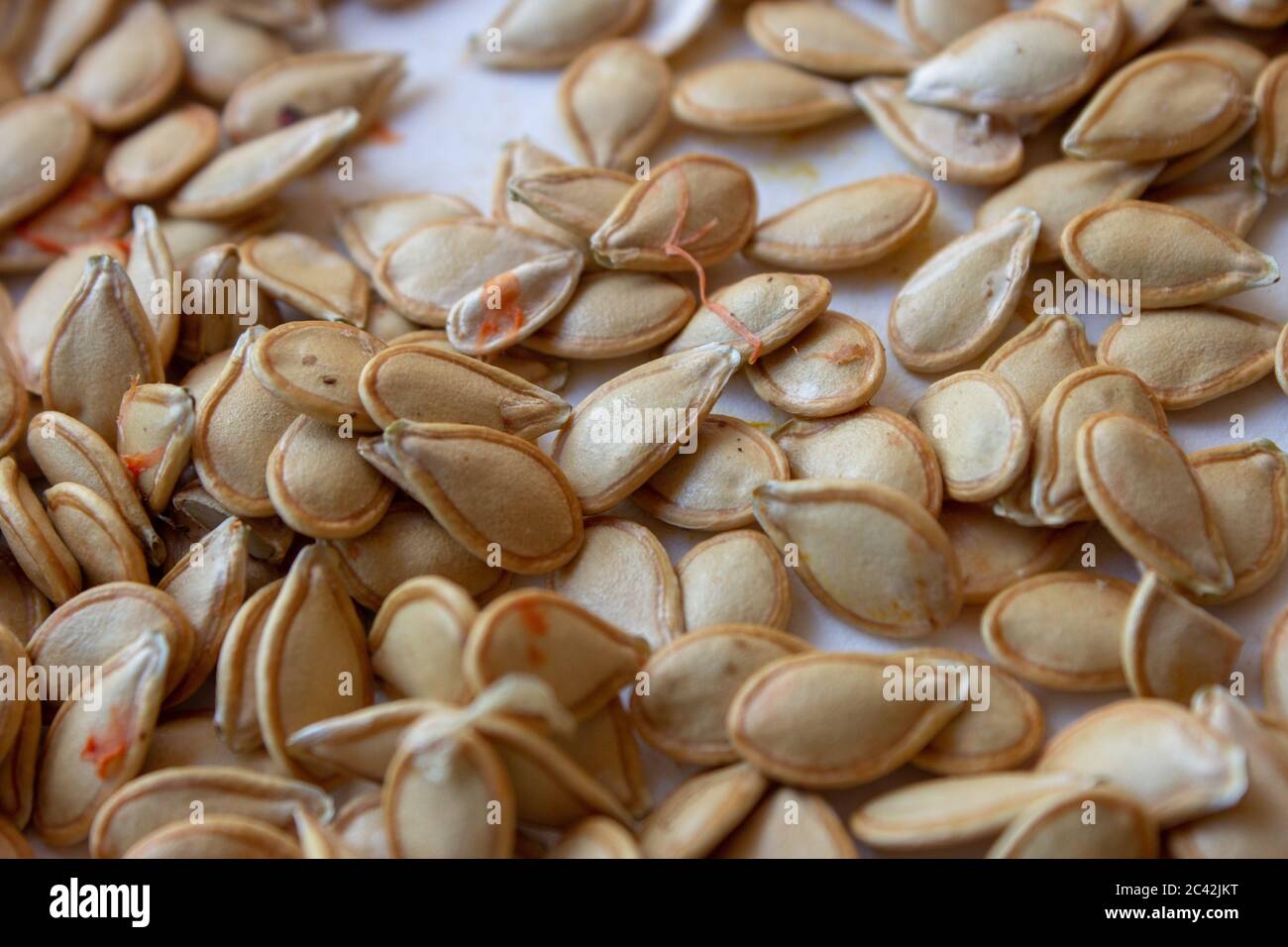 Pumpkin seed drying out for eating Stock Photo Alamy