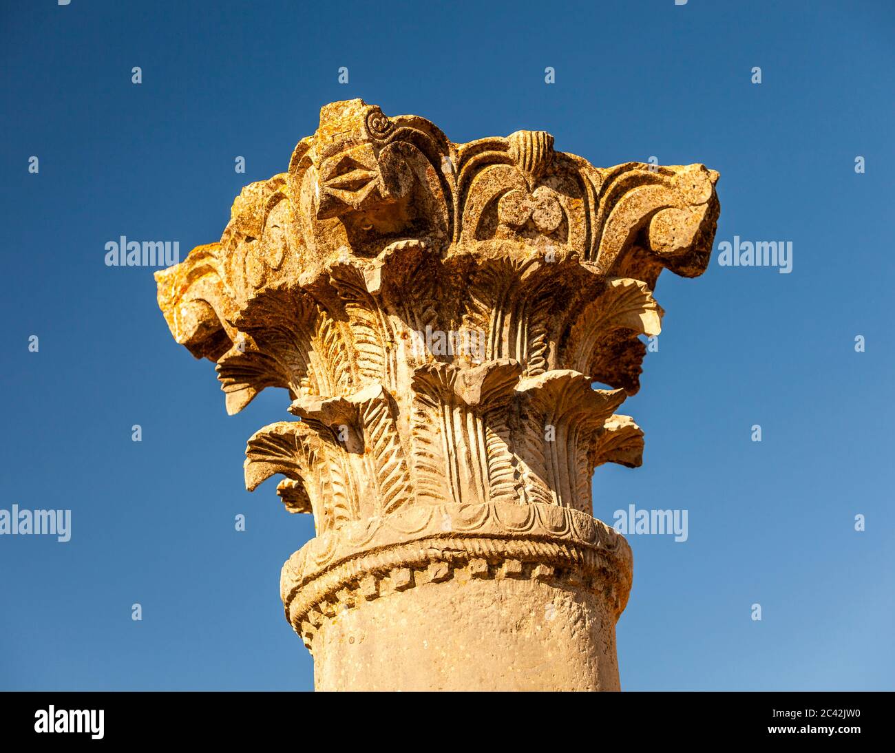 Ancient Roman ruined city of Volubilis, Meknès-El Menzeh, Morocco Stock Photo