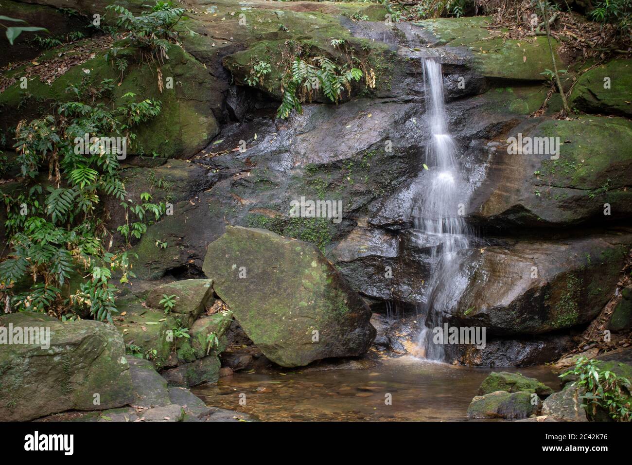 Thin waterfall at a trail located on Tijuca Forest, Rio de Janeiro Stock Photo
