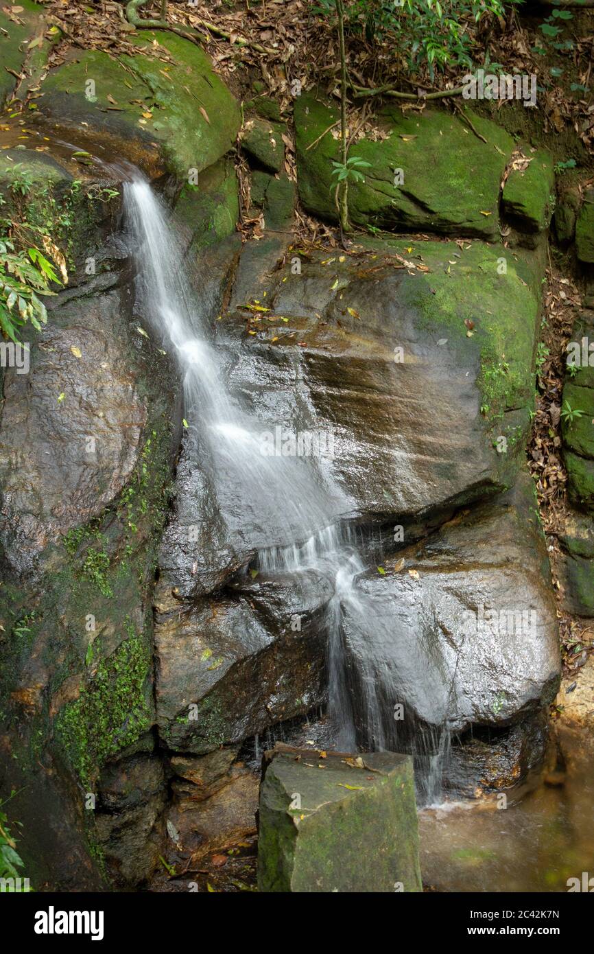 Thin waterfall at a trail located on Tijuca Forest, Rio de Janeiro Stock Photo
