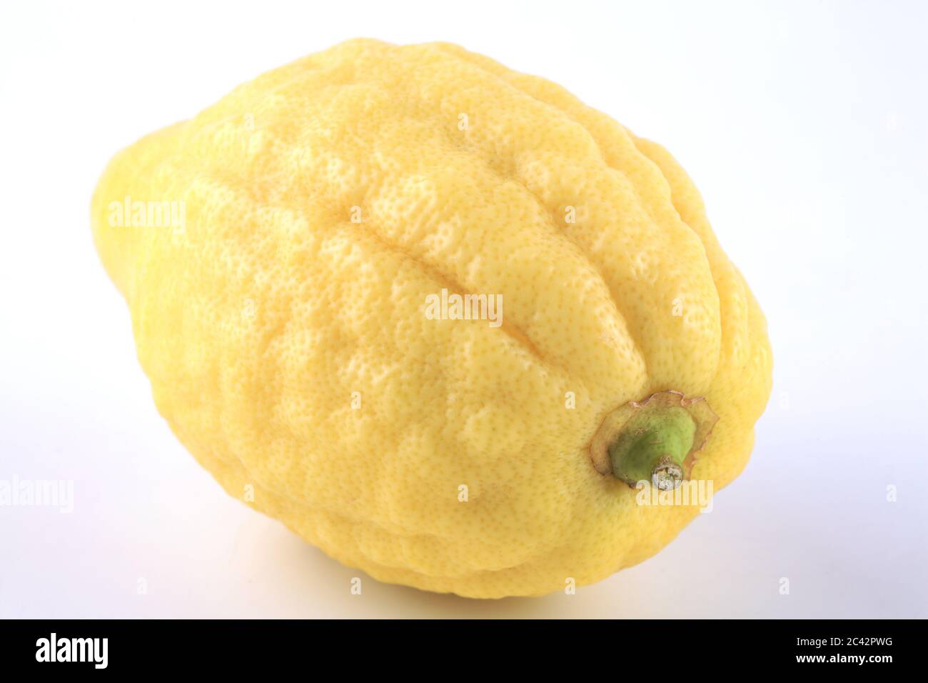 Etrog - A fruit used in Sukkot jewish holiday. One of the four species Stock Photo