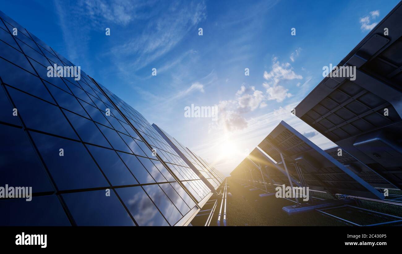 Solar Panels Field at Dawn 3D Rendering Stock Photo - Alamy