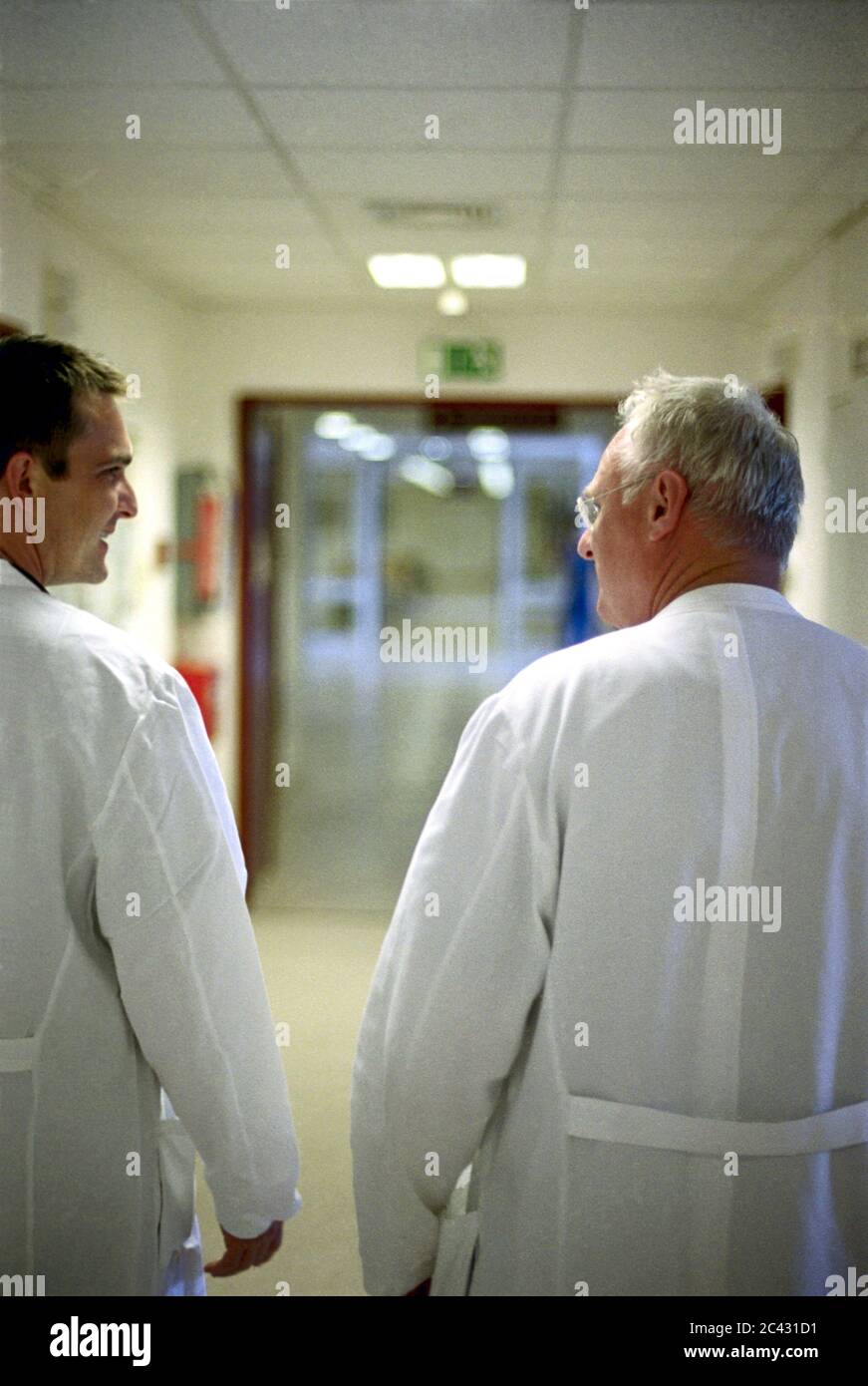 Doctors in conversation (rear view) - hospital Stock Photo