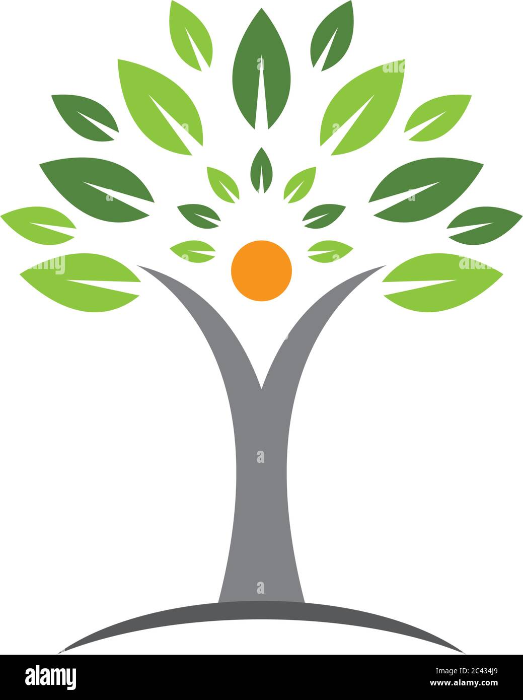 Tree vector icon illustration design Stock Vector Image & Art - Alamy