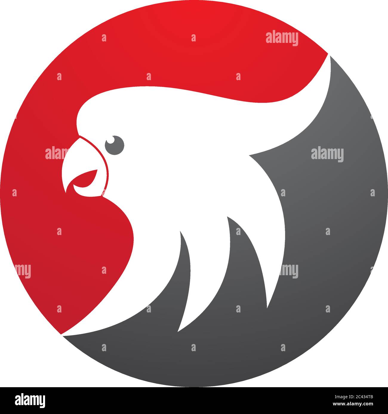 Parrot logo vector illustration design Stock Vector Image & Art - Alamy