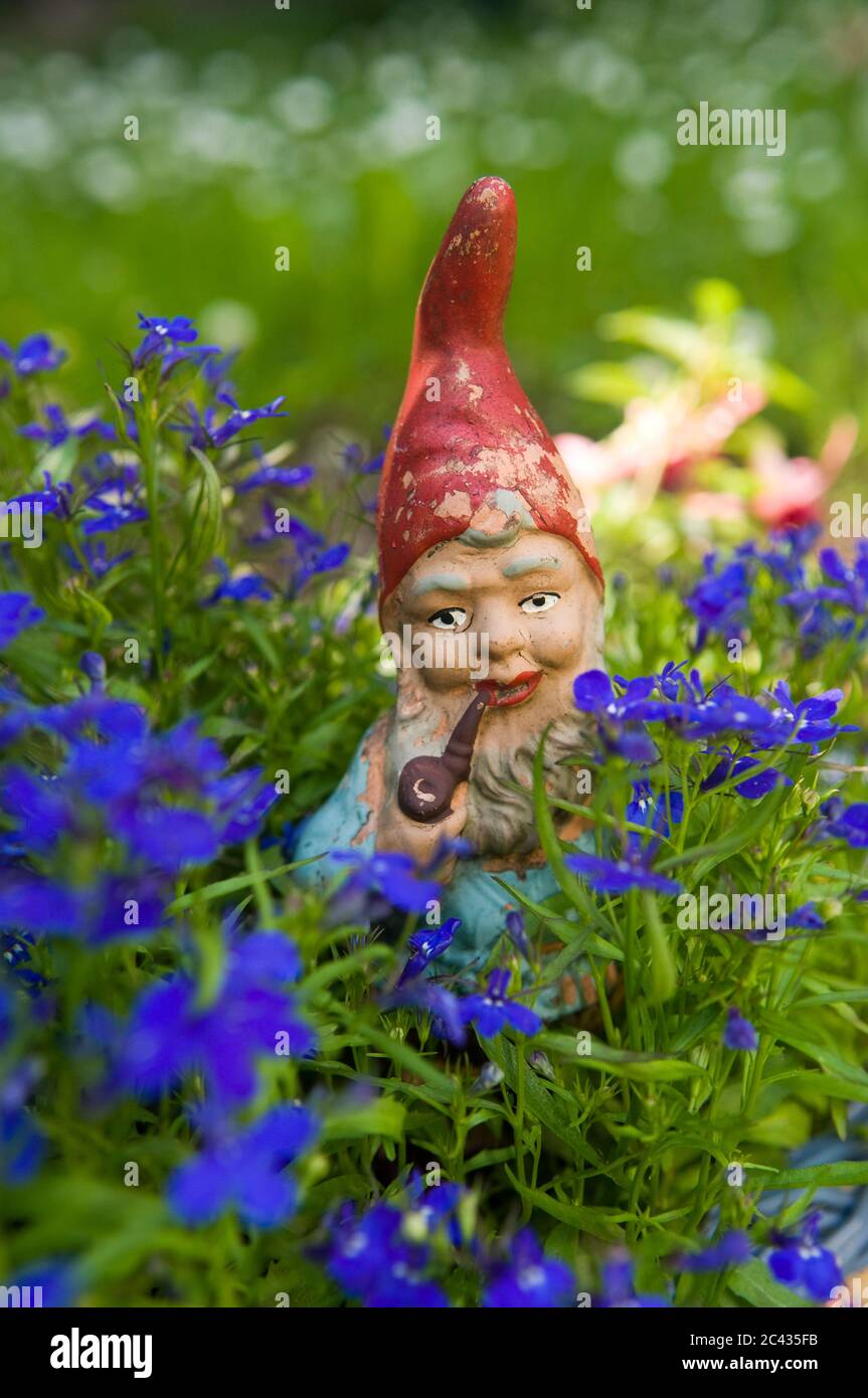 Garden gnome in Männertreu, Munich, Bavaria, Germany Stock Photo