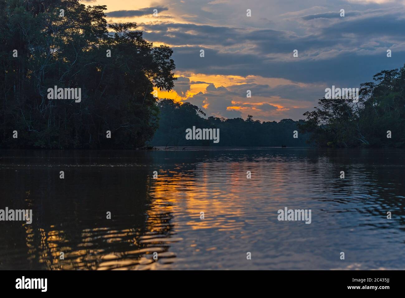 Reflection of the Amazon rainforest at sunset, Yasuni national park, Ecuador. Stock Photo