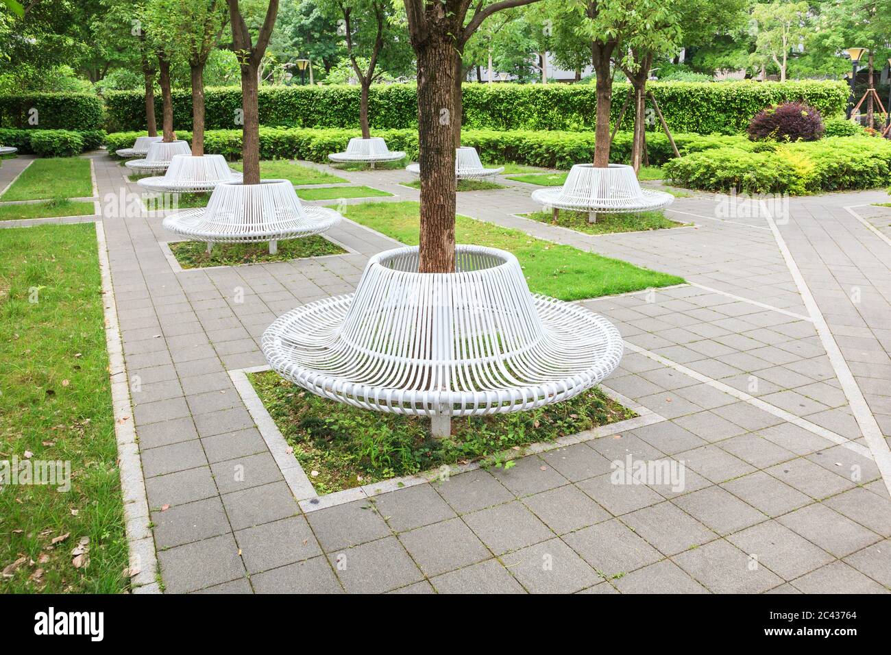 Group of modern iron circle shaped benches installed around tree for resting in city park,Fujian,China Stock Photo