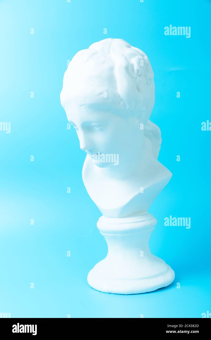 Venus anatomy hi-res stock photography and images - Alamy