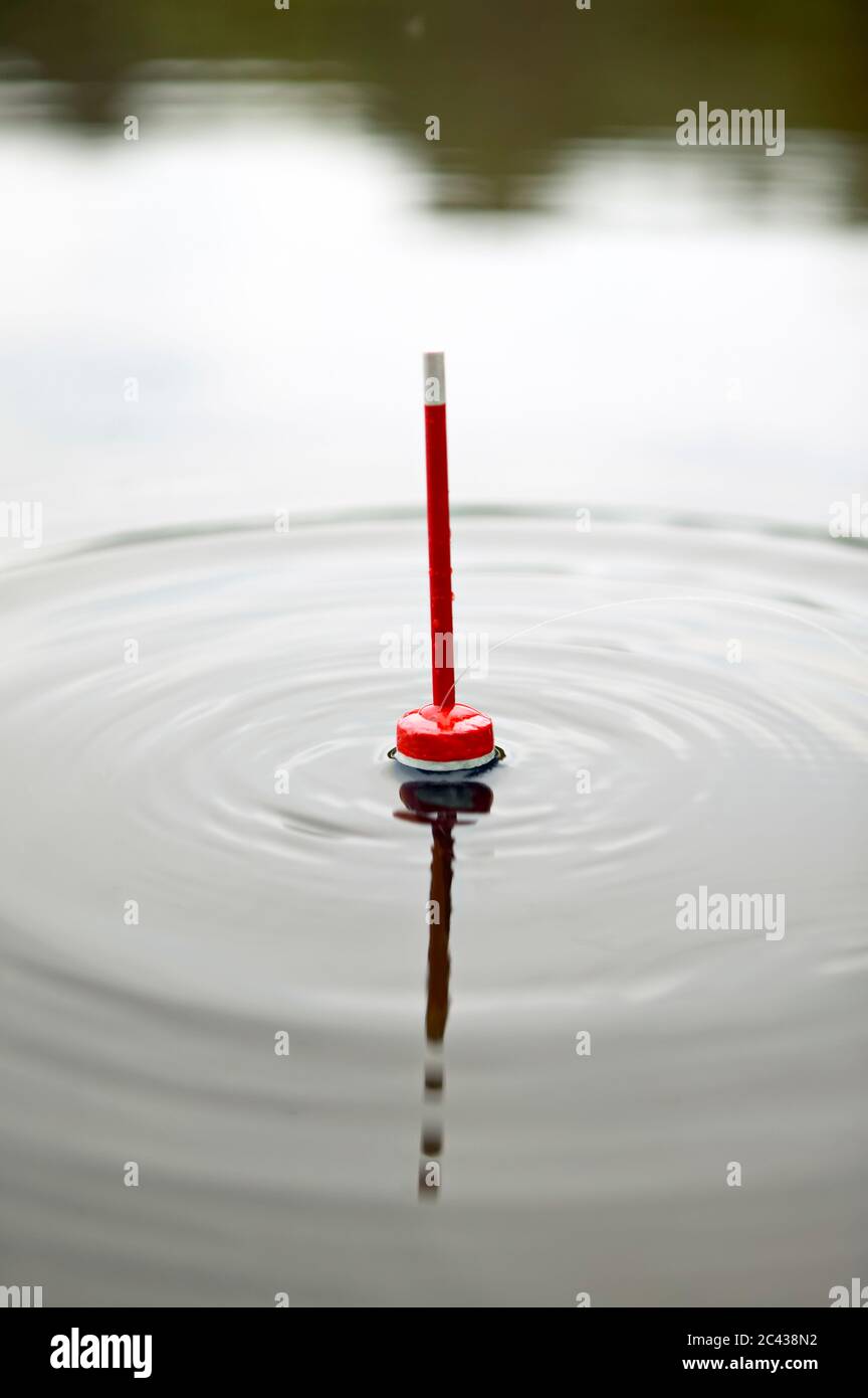 Peg fishing floats on the water surface - fishing Stock Photo - Alamy