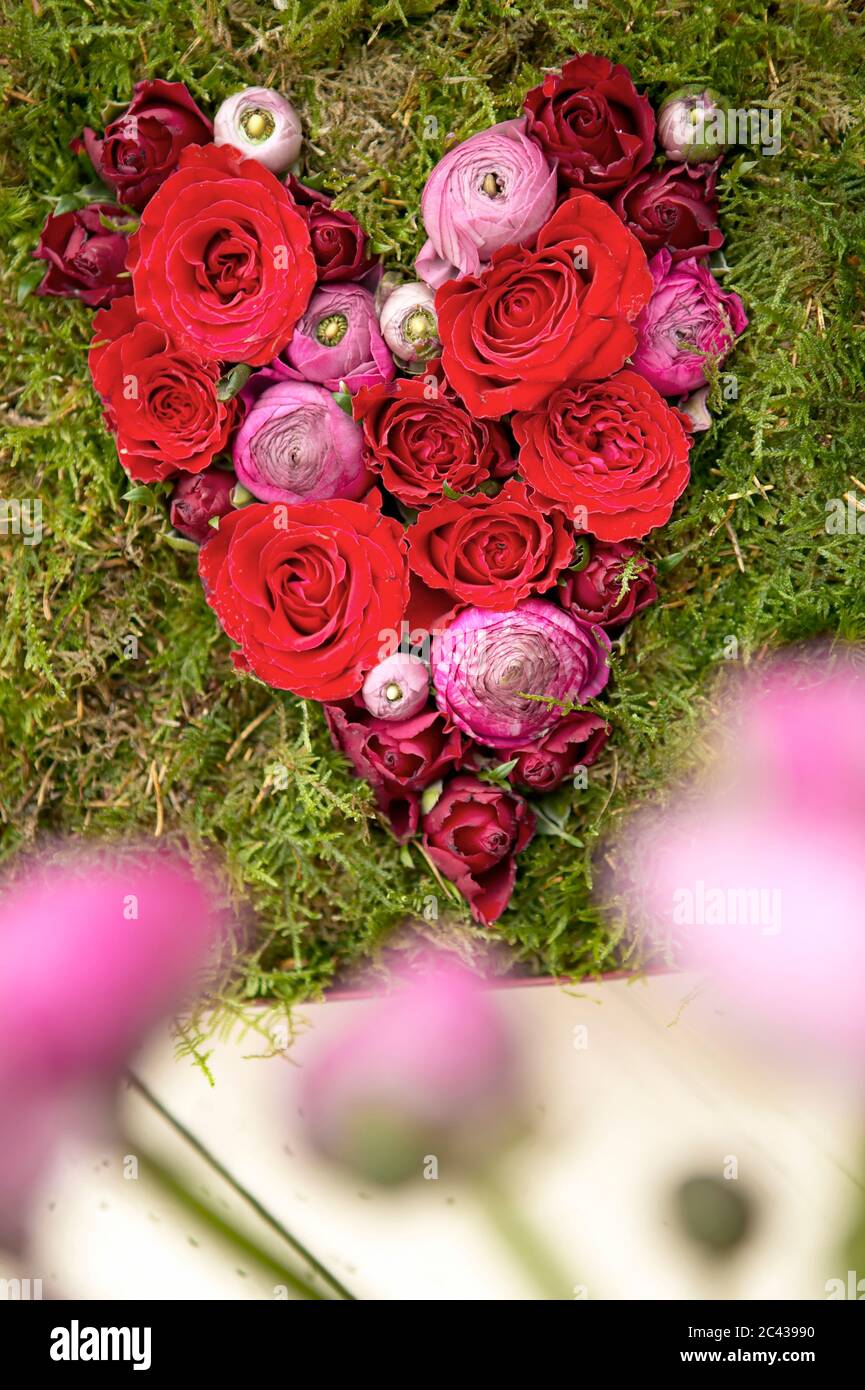 Soft pink roses heart hi-res stock photography and images - Alamy