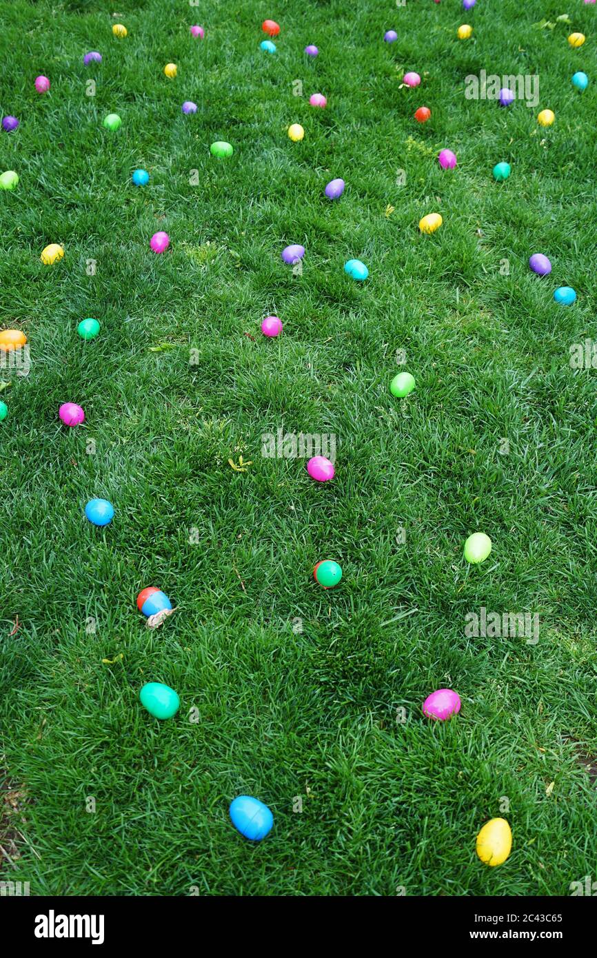 Colorful Easter eggs laying on the green grass Stock Photo - Alamy