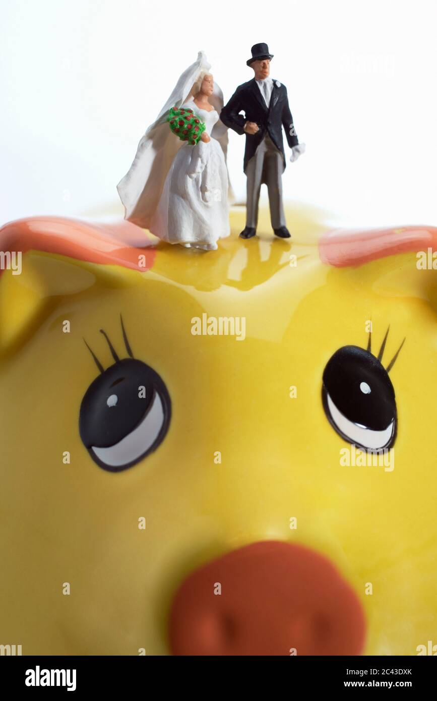 Bridal couple figures stand on a piggy bank Stock Photo - Alamy