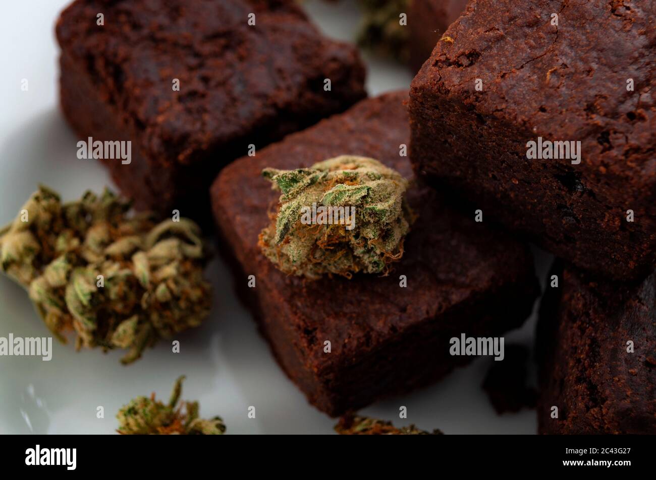 Edible marijuana for chronic pain treatment, alternative medicine diet and legal weed concept theme with close up on cannabis buds and delicious brown Stock Photo