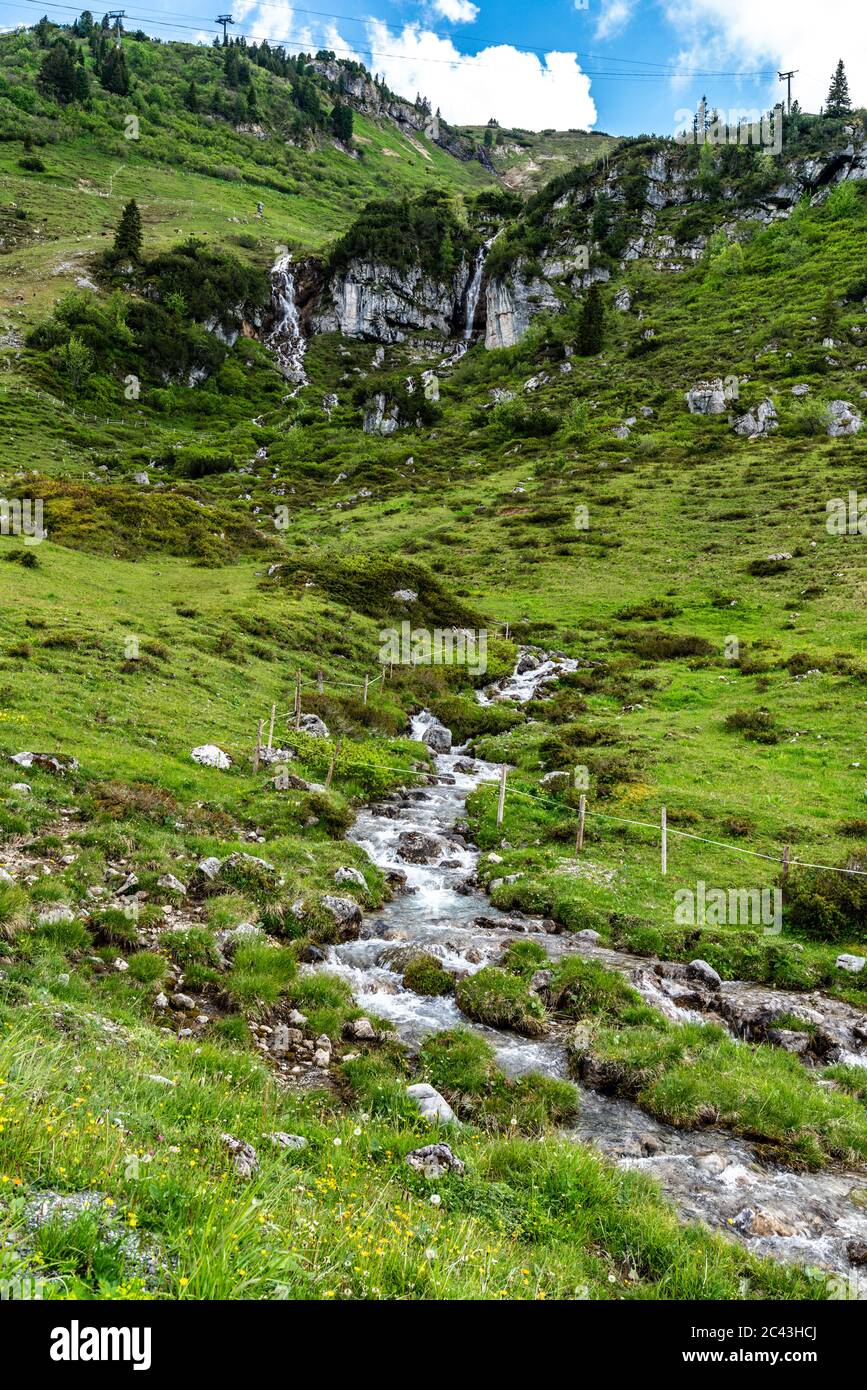 Das Karhorn im Frühling, aus den restlichen Schneefeldern fliesst frisches Wasser ins Tal. Der Bergbach ist umsäumt von Frühlingsblumen. Lechtal Stock Photo