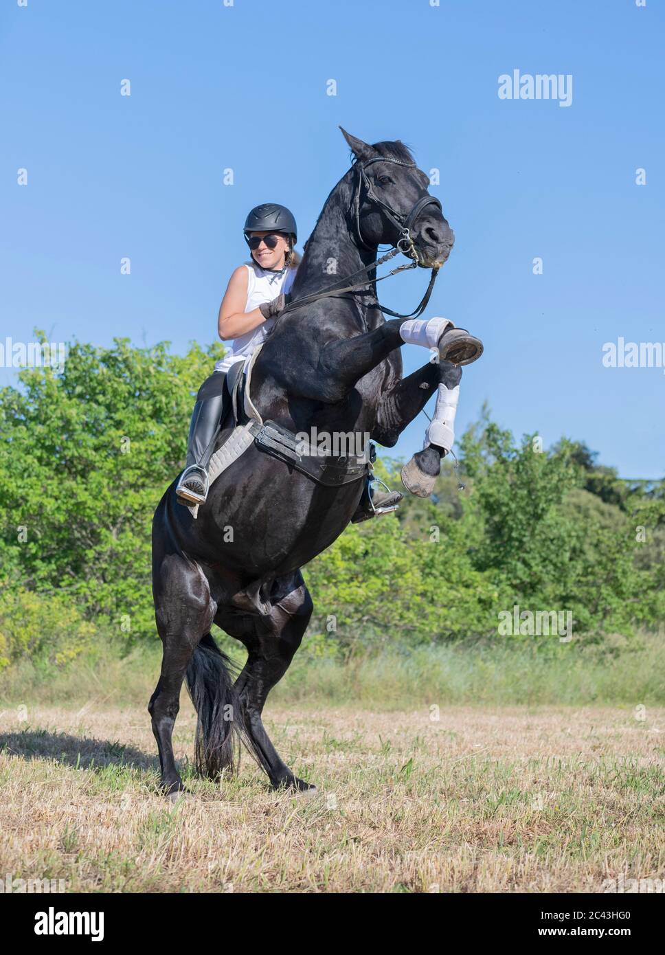 riding girl are training her black horse Stock Photo