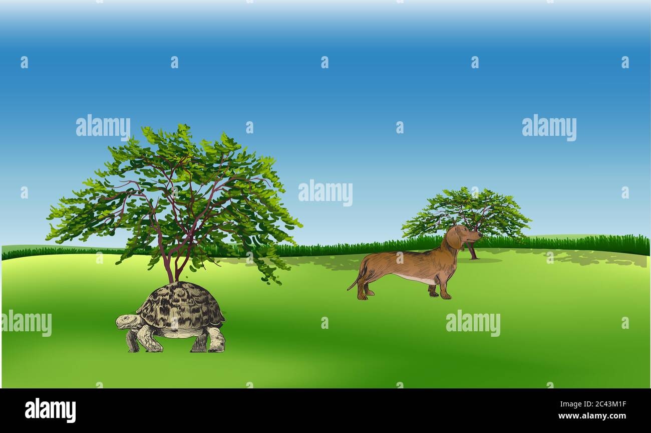animals are walking in the garden Stock Vector