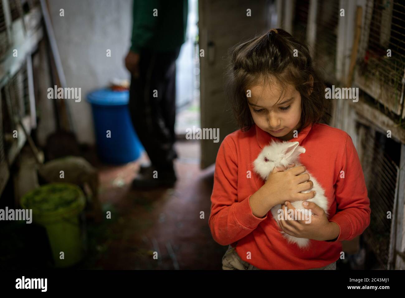 How to care for bunnies hi-res stock photography and images - Alamy