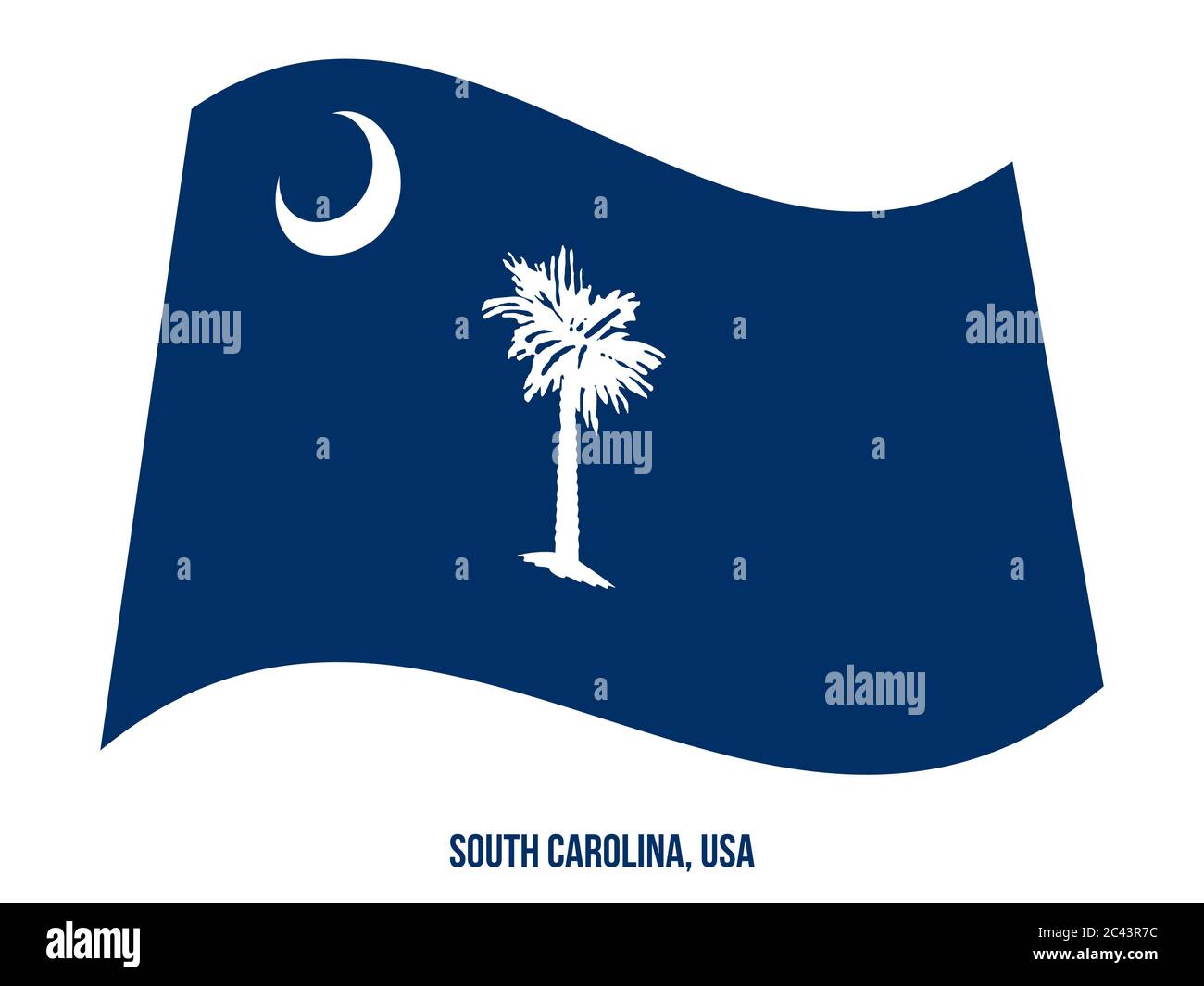 South Carolina (USA State) Flag Waving Vector Illustration on White ...