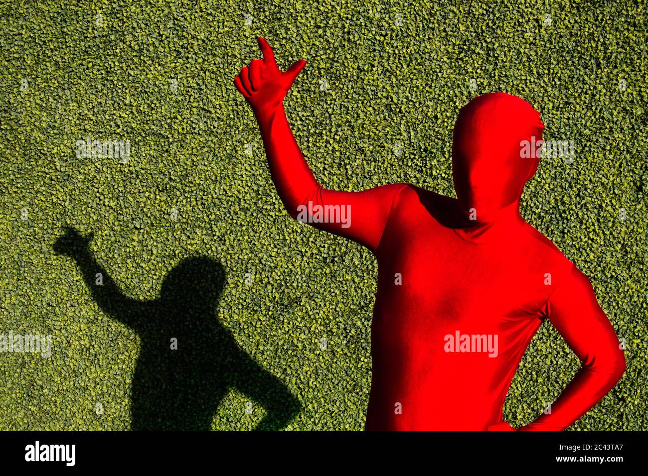 Man in a red zentai in front of a green hedge Stock Photo