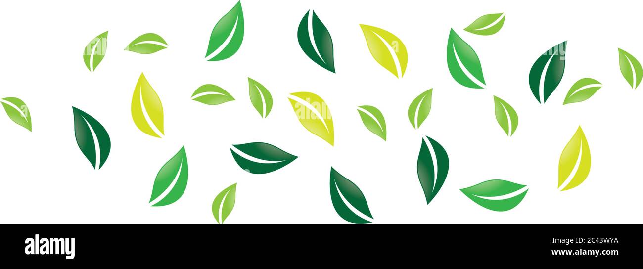 Leaf  background symbol vector icon illustration design Stock Vector