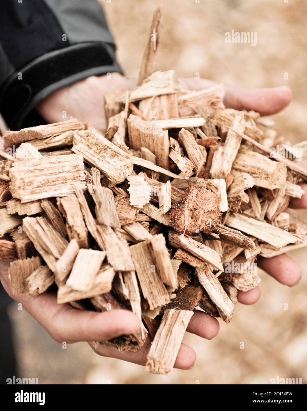 Wood chips for the biomass power plant in Güssing, Austria Stock Photo