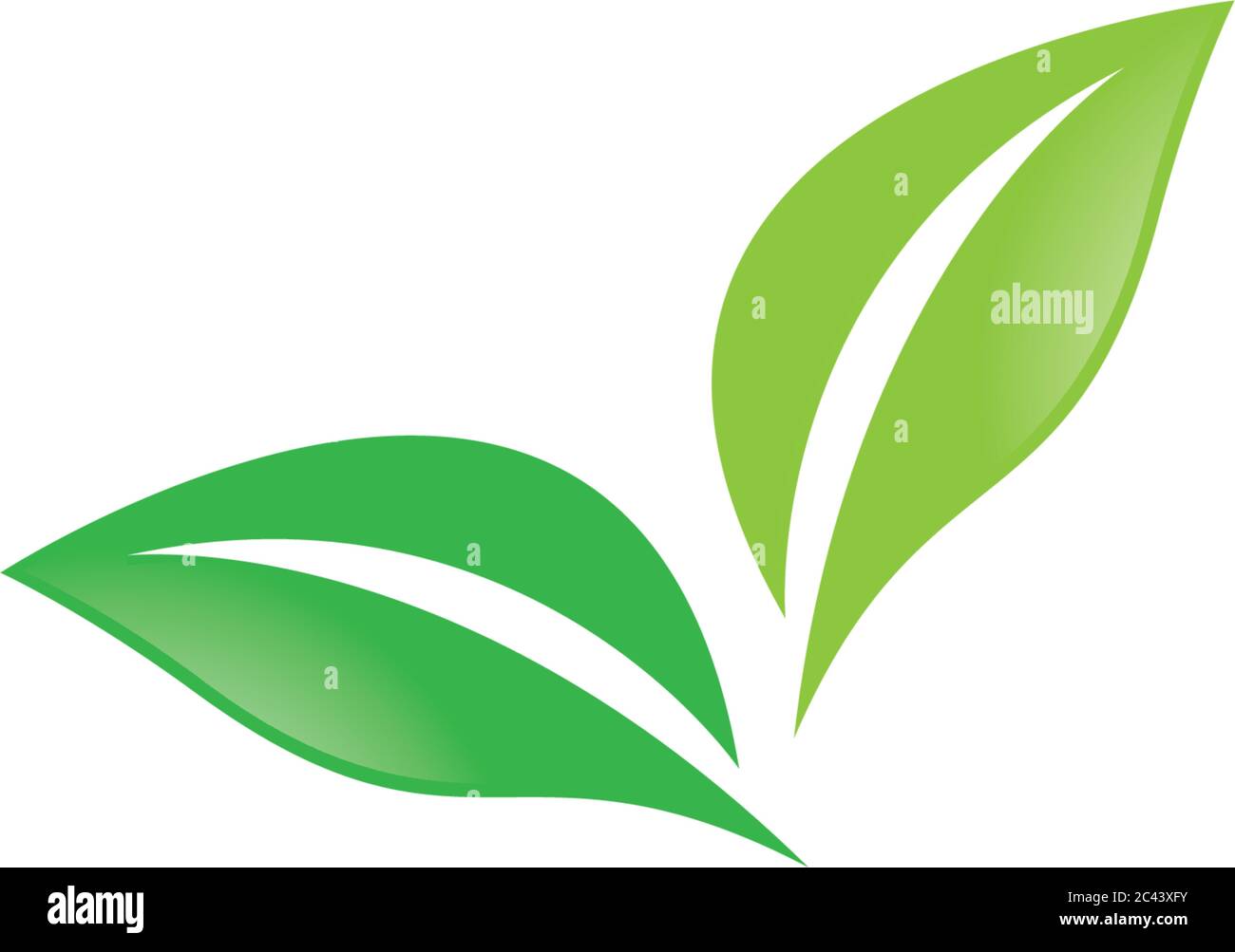Leaf logo template vector icon design Stock Vector Image & Art - Alamy