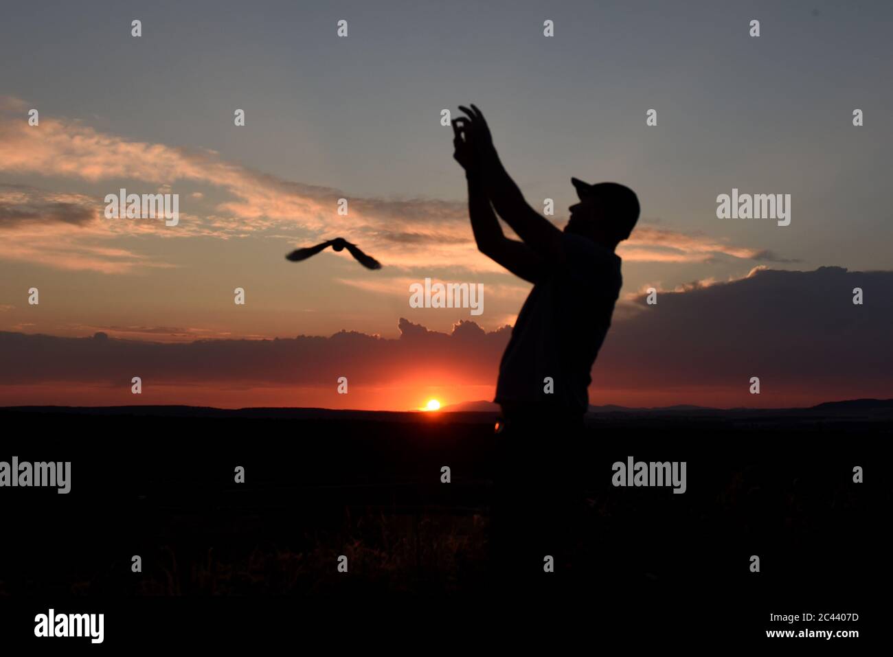 A man releases a homing pigeon during sunrise of Saint Juan day in Almazán.Many have popular beliefs related to the dawn of this day in Spain. Among others, the first sun ray makes you not sleepy all year. It also makes the waters of streams and fountains become magical and acquire special healing powers. Credit: SOPA Images Limited/Alamy Live News Stock Photo