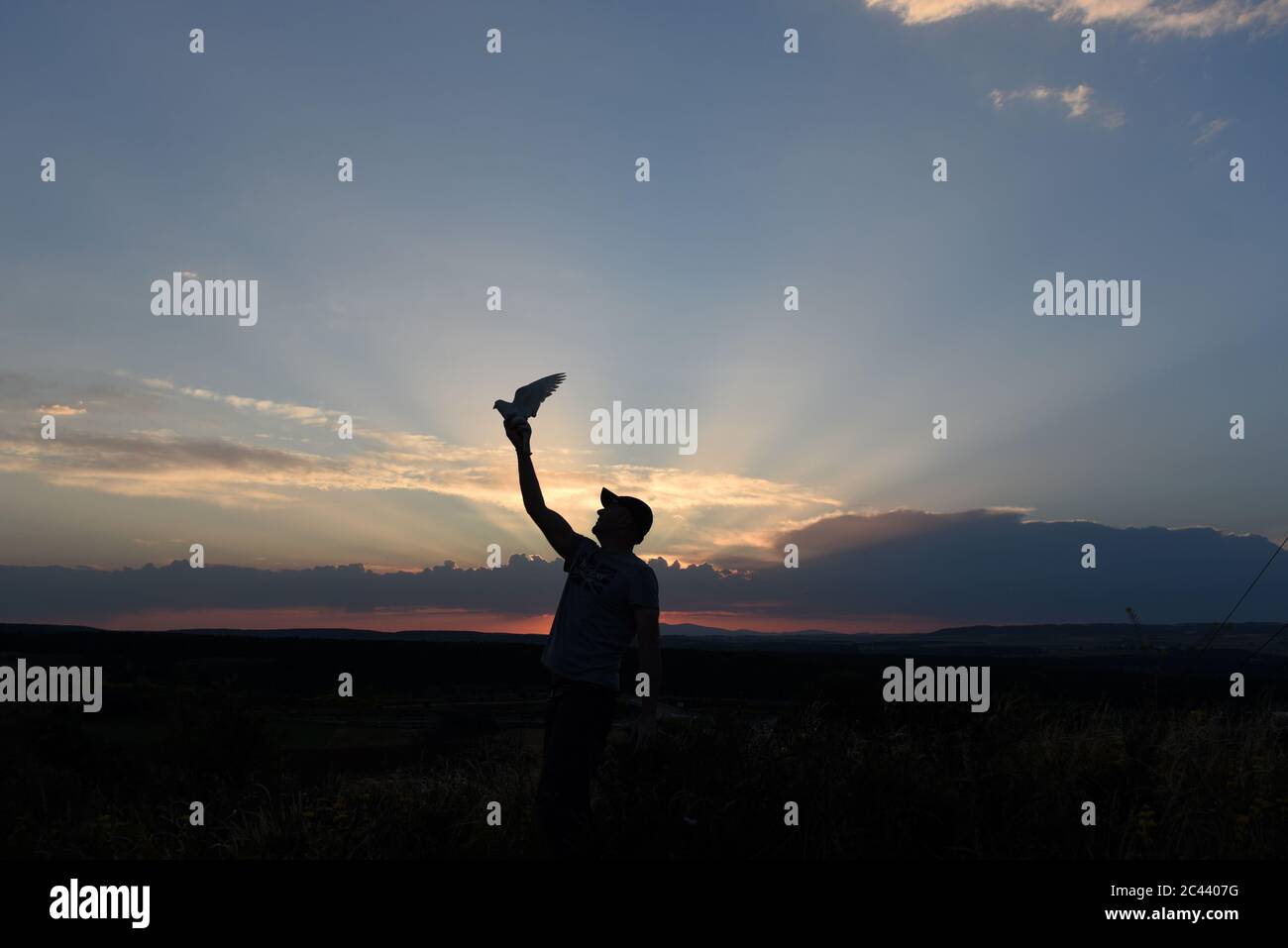 A man releases a homing pigeon during sunrise of Saint Juan day in Almazán.Many have popular beliefs related to the dawn of this day in Spain. Among others, the first sun ray makes you not sleepy all year. It also makes the waters of streams and fountains become magical and acquire special healing powers. Credit: SOPA Images Limited/Alamy Live News Stock Photo