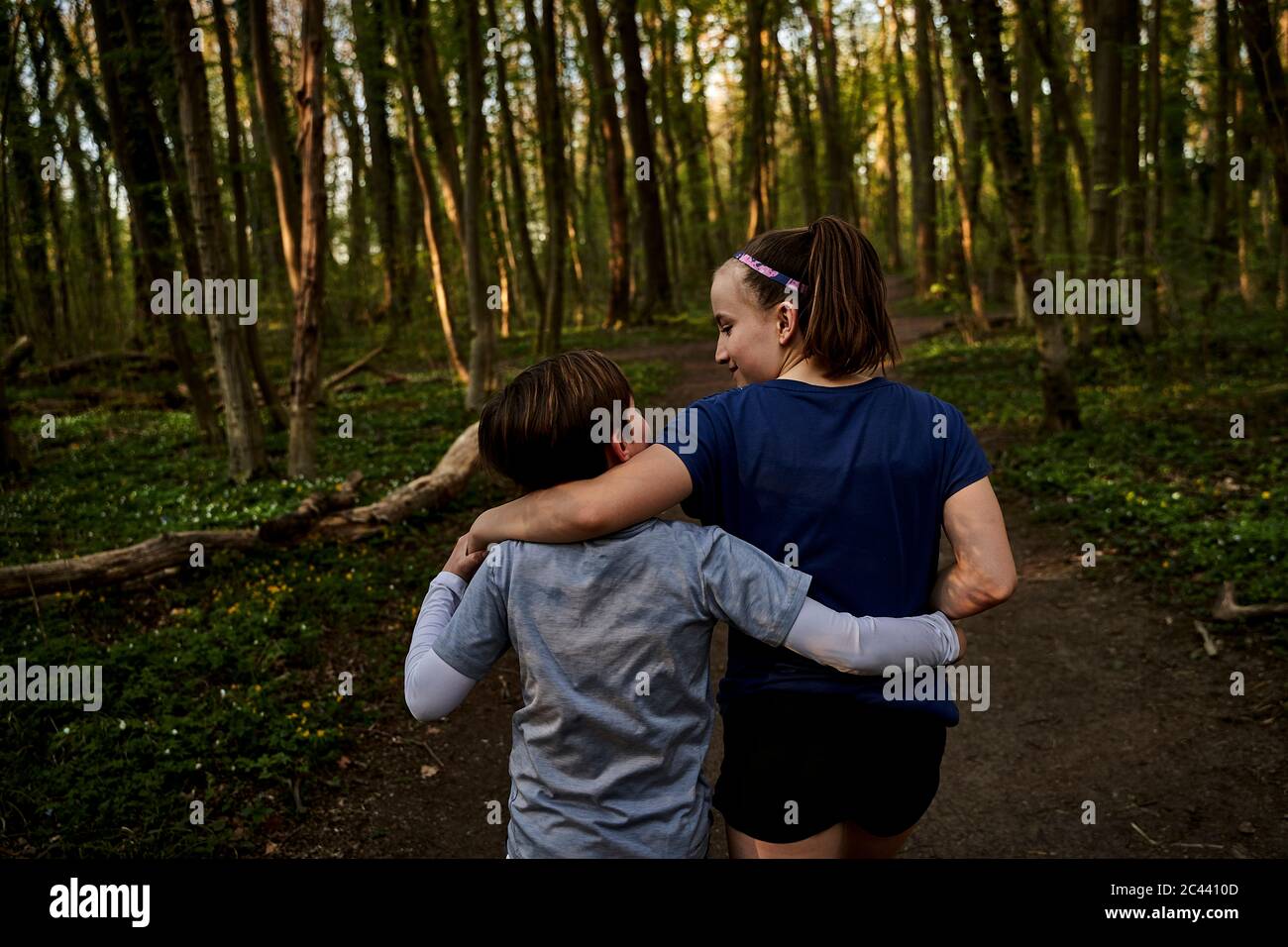 Rear view of sibling walking with arm around in forest Stock Photo