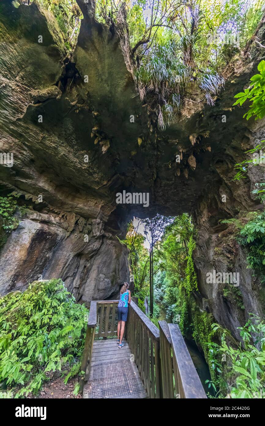 New Zealand, Oceania, North Island, Waitomo, Mangapohue Natural Bridge