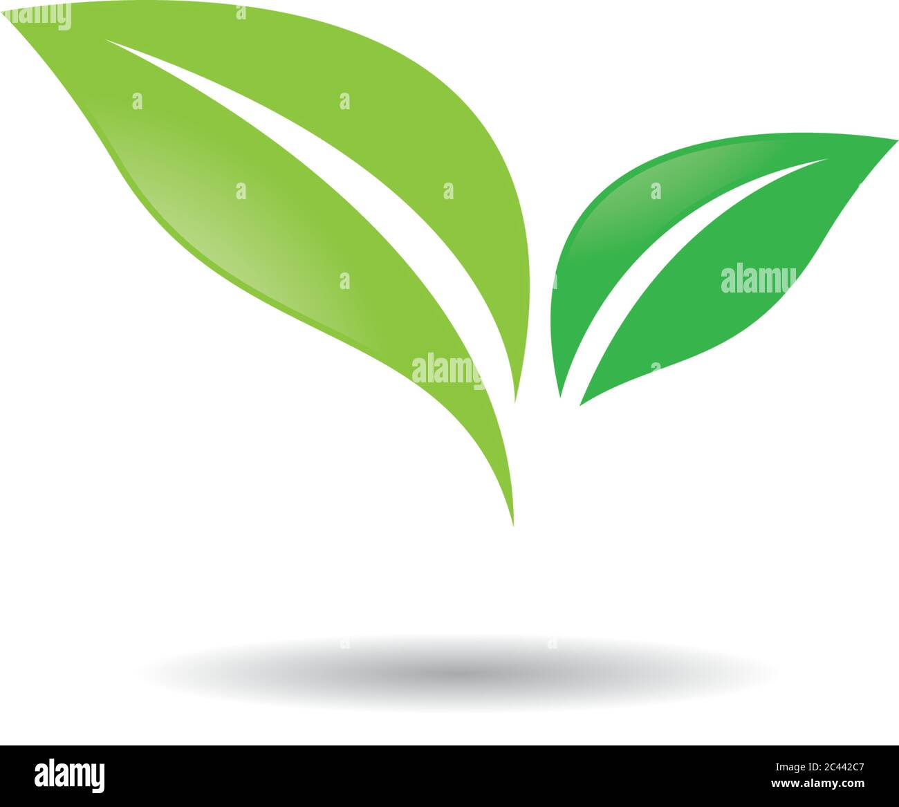 Logos of green leaf ecology nature element vector icon Stock Vector ...