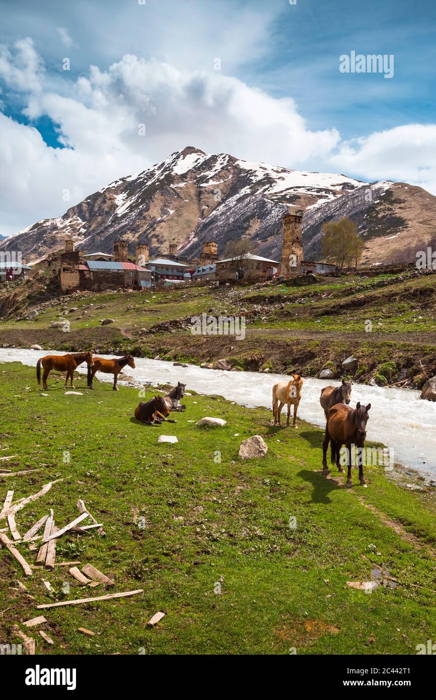 Georgia, Svaneti, Ushguli, Horses grazing along bank of Enguri River with medieval village in background Stock Photo