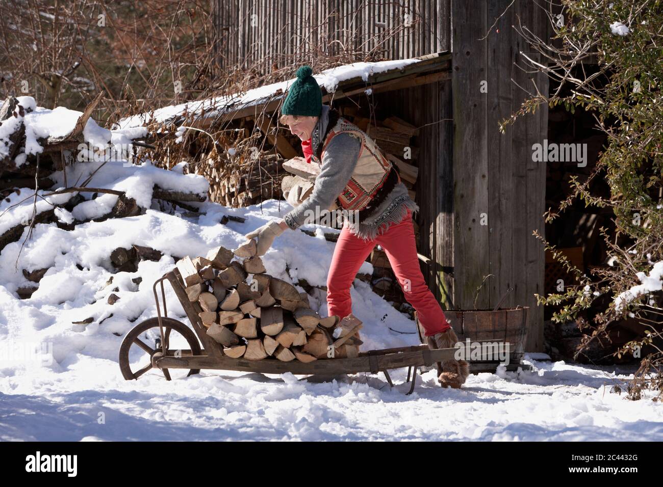 Woman stacks firewood on a wheelbarrow in the snow Stock Photo - Alamy
