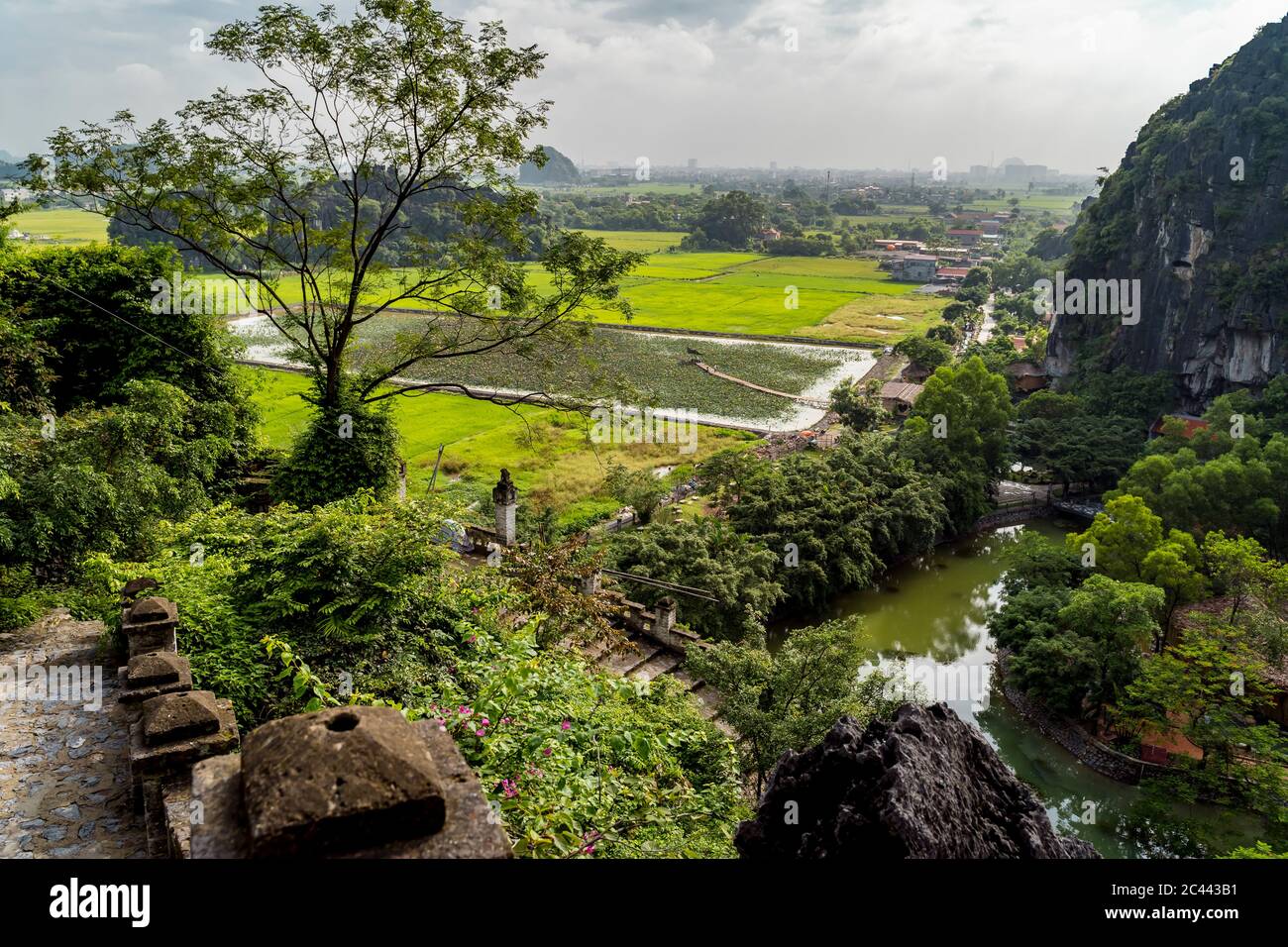Vietnam, Ninh Binh Province, Ninh Binh, Rice paddy in Hong River Delta Stock Photo